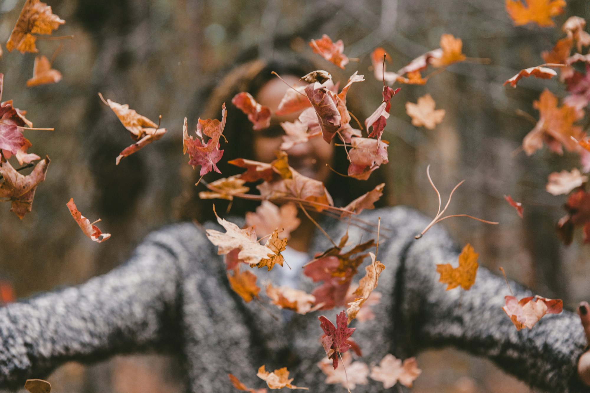 jakob-owens-uE_N2i6-TRM-unsplash jakob-owens-uE_N2i6-TRM-unsplash